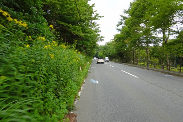 国道１３８号