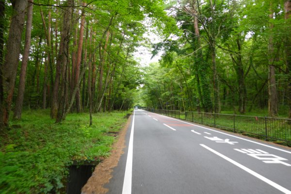 吉田登山道
