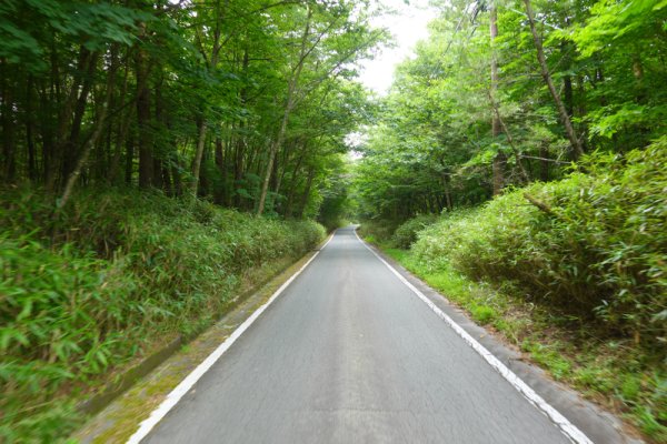 鳴沢林道(2)：1337m