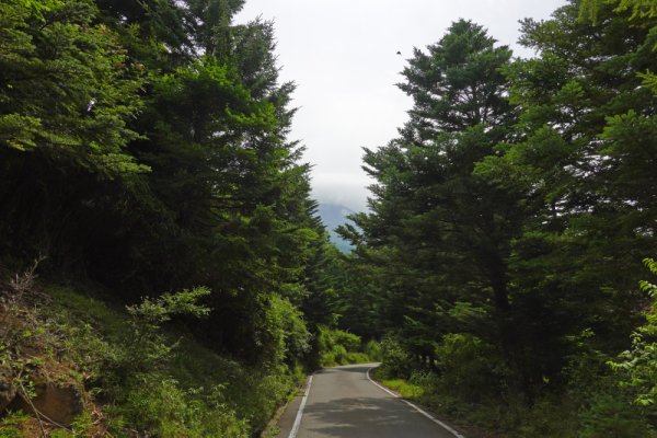 鳴沢林道(17)：1702m