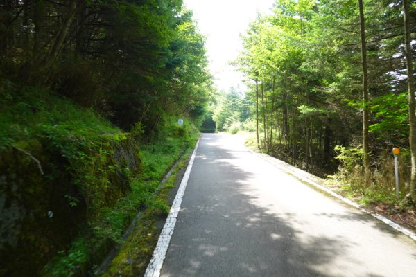 鳴沢林道(18)：1715m