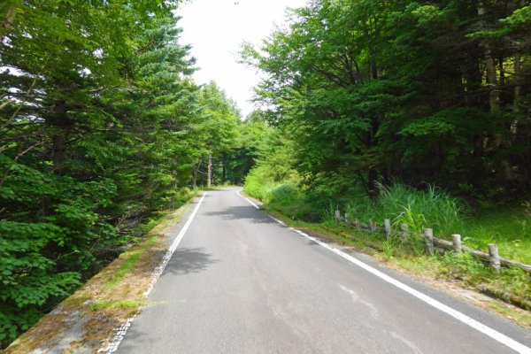鳴沢林道(25)：1736m