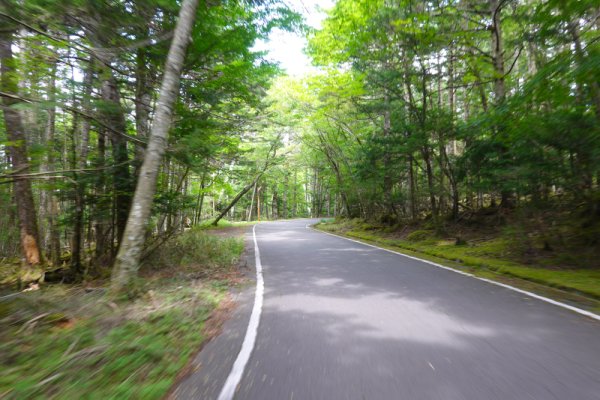 鳴沢林道(30)：1607m