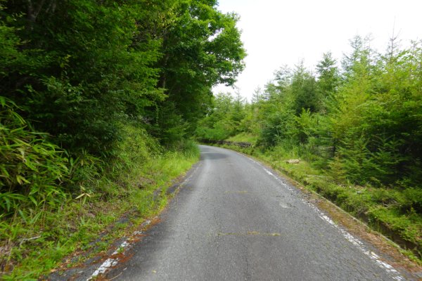 鳴沢林道(31)：1580m