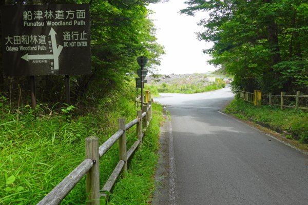 鳴沢林道の終わり：1510m