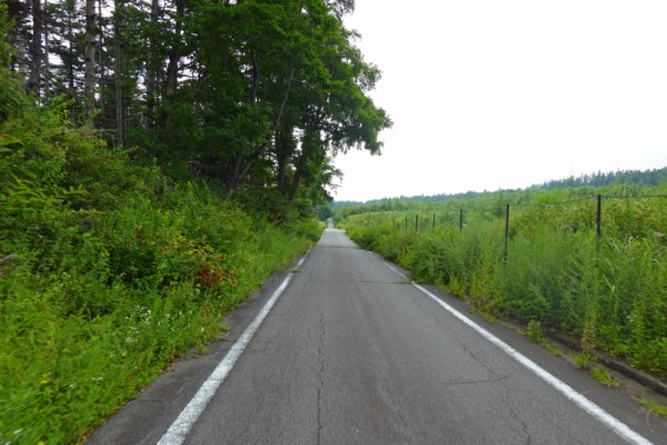 船津林道(5)：1308m