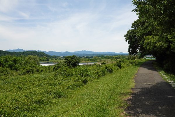 多摩川左岸のサイクリングロード(1)