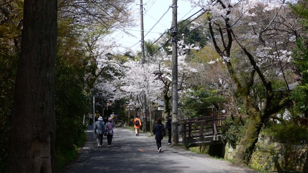 明月院通り