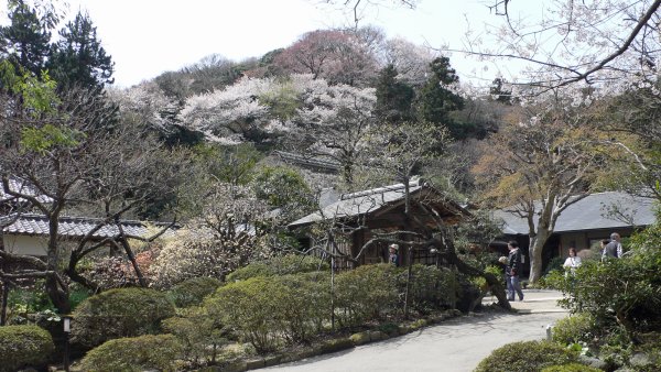 浄智寺(4)