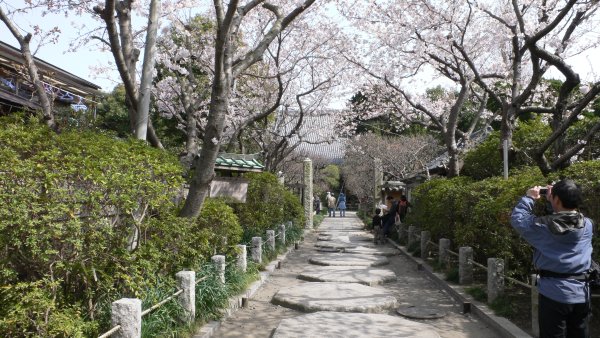 宝戒寺(1)