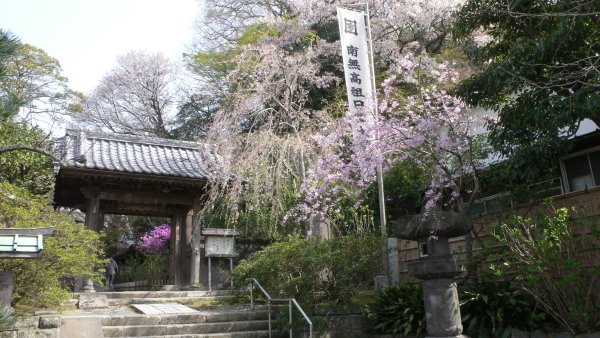 安国論寺(1)