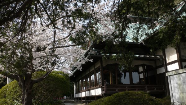 安養院(1)