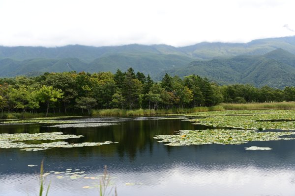 知床一湖(2)