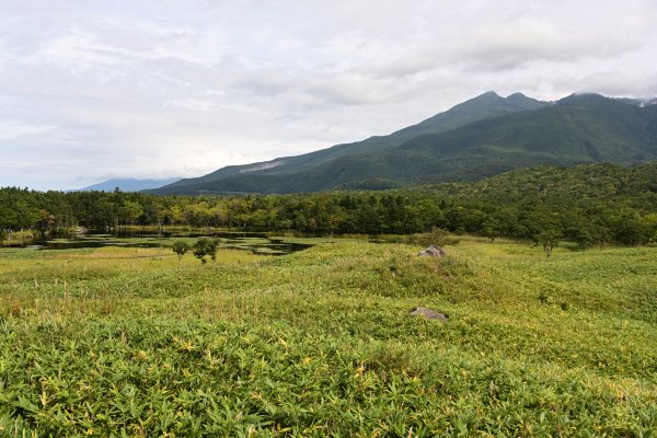 高架歩道からの知床連山