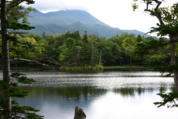 知床三湖(5)