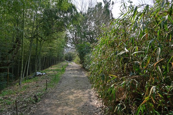 廃線跡らしい道(2)