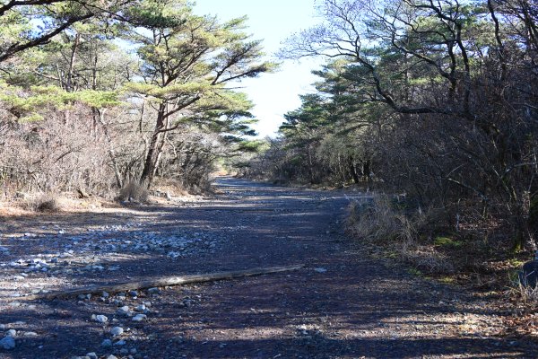 古宮址への参道