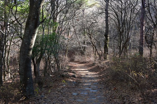 登山道(1)