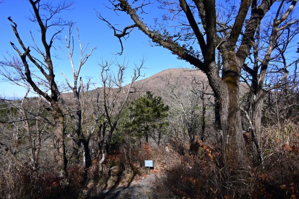 登山道(2)