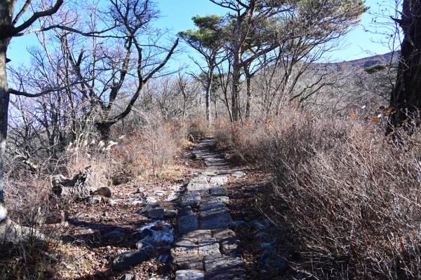 登山道(3)