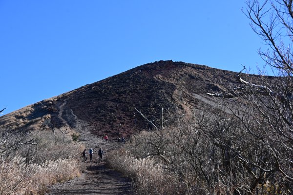 登山道(4)