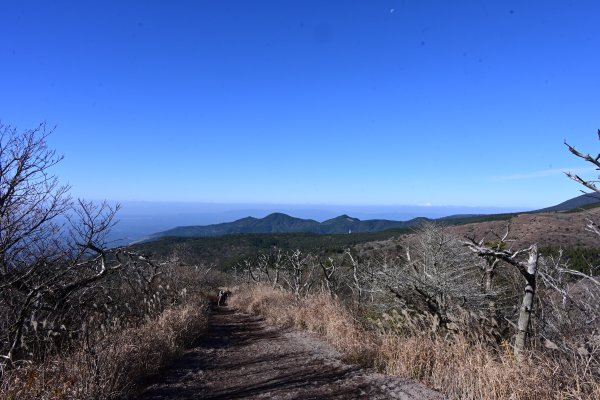 登山道(5)