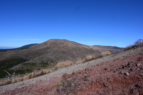 登山道(8)