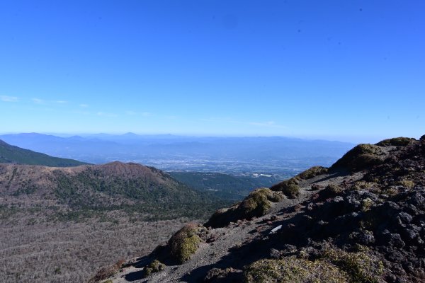 登山道(14)