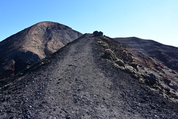 登山道(16)：馬の背