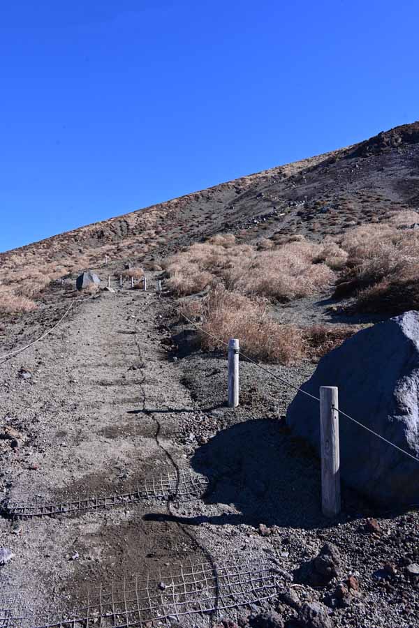 登山道(19)