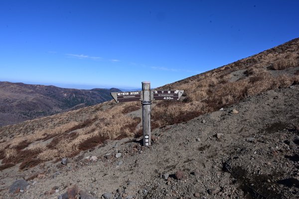 登山道(20)