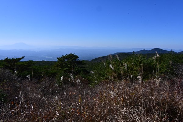 登山道(31)