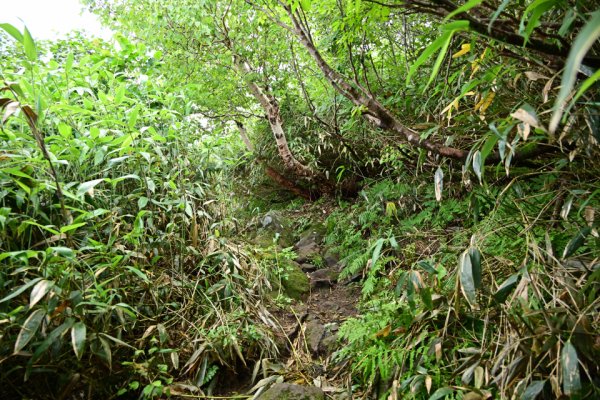 最初の登山道