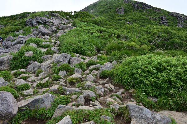 まだ急な登りなので注意して