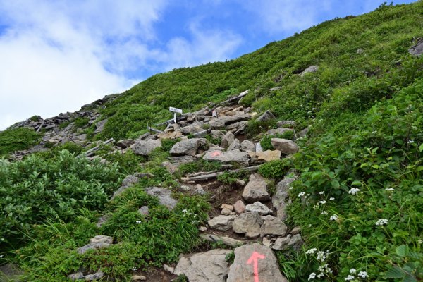 登りと下りが分離