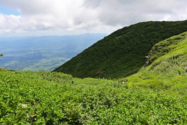 雰囲気の良い風景