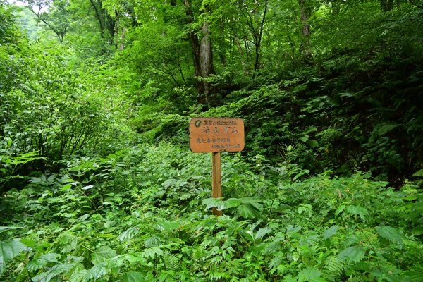 治山ダムの看板