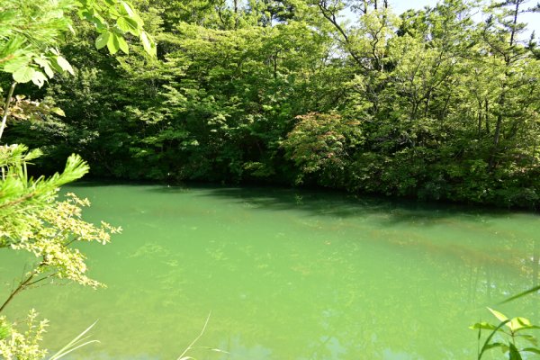 王池の西湖と東湖の接続部分