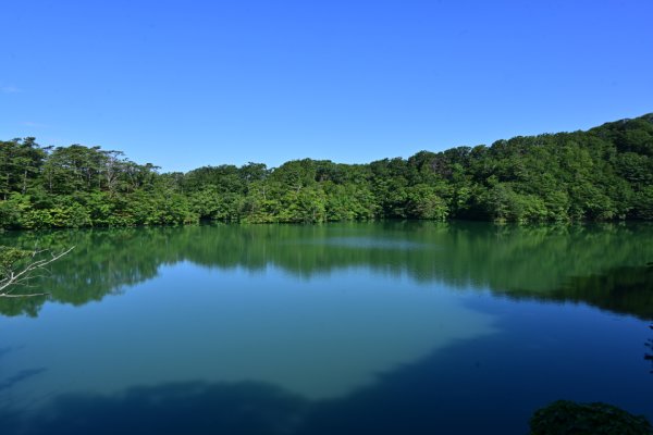 王池東湖