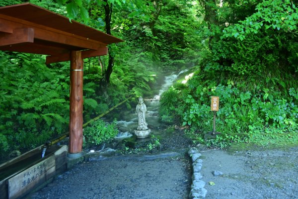 沸壺池の清水