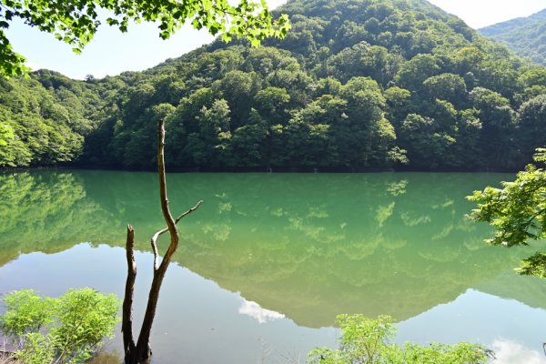 鶏頭場ノ池(2)