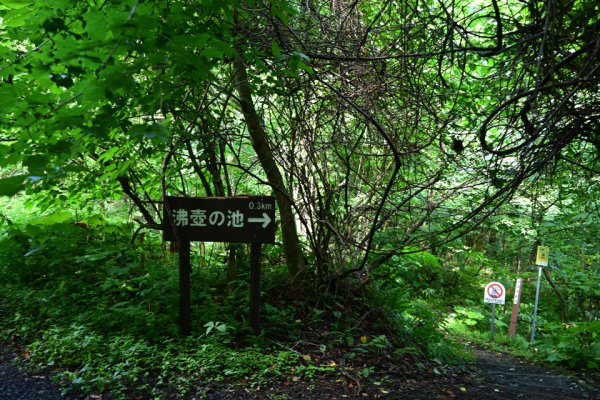 沸壺ノ池への分岐