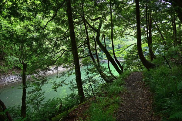 金山ノ池