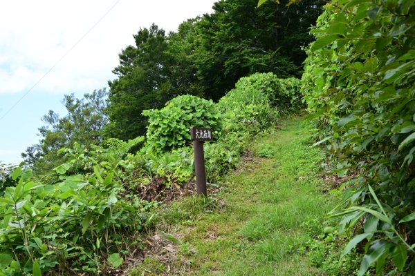 大池の分岐道