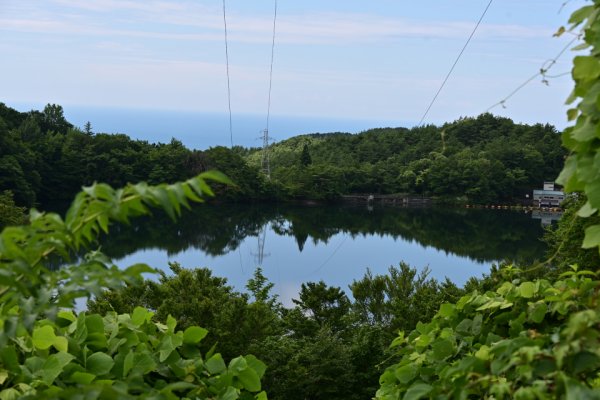 大池の俯瞰