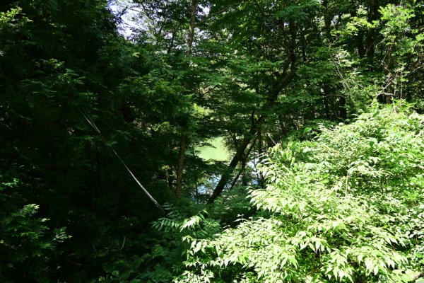 水が少し見える（日暮れノ池？）