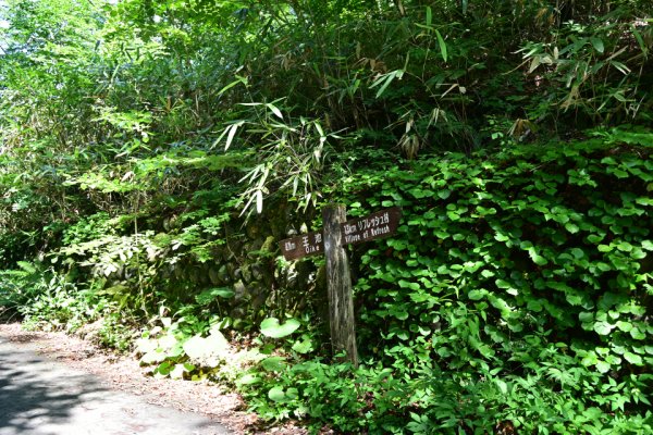 王池と日暮ノ池の分岐