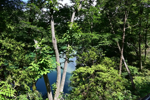 王池西湖の南側