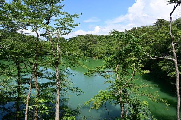 王池西湖