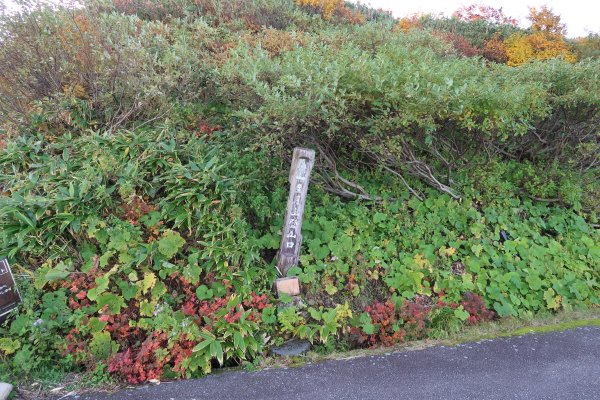 8合目の登山口